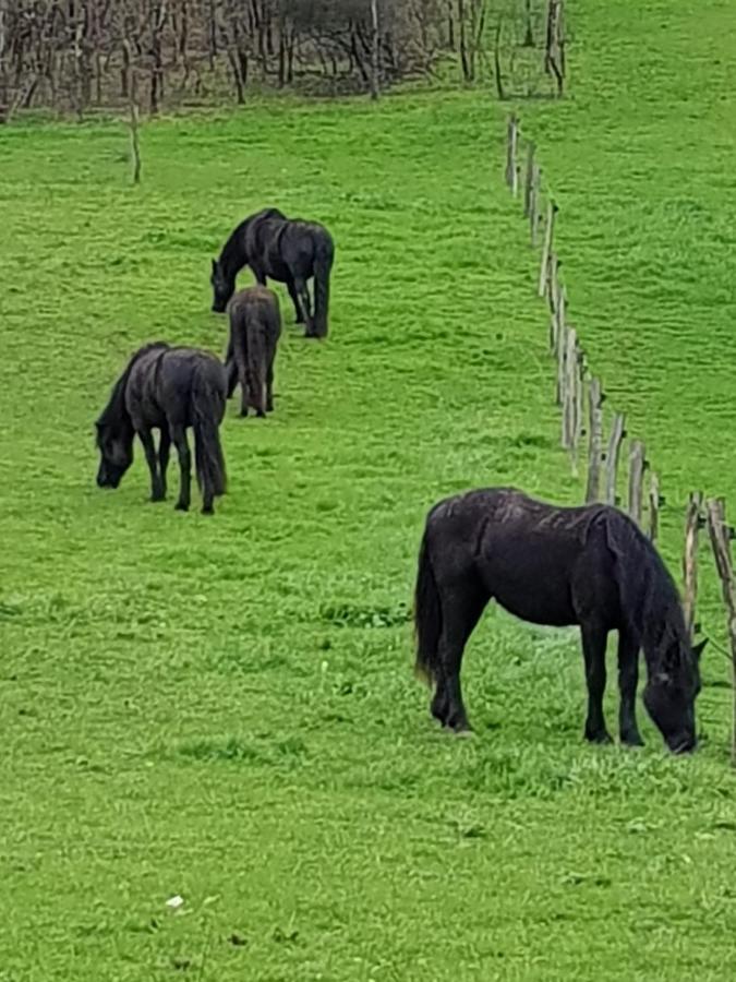 Domaine Du Pompinaud Accessible Pmr Panzió Yvrac-et-Malleyrand Kültér fotó